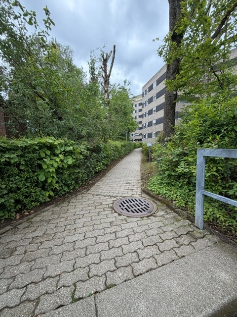 Seitl. Zugang z Haus